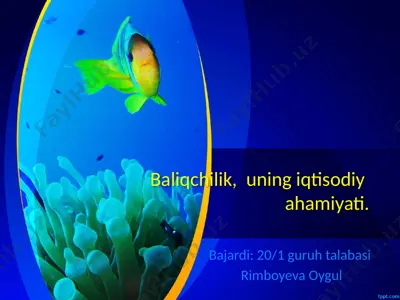 baliqchilik — PPTX