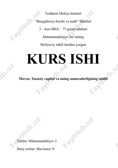 xususiy capital va uning samaradorligining tahlili — DOCX