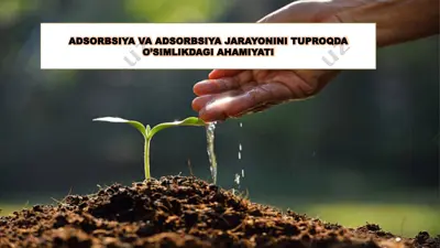 adsorbsiya va adsorbsiya jarayonini tuproqda o'simlikdagi ahamiyati — PPTX