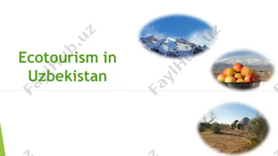 ecotourism in uzbekistan — PPTX