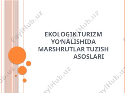 ekologik turizm yo‘nalishida marshrutlar tuzish asoslari — PPTX