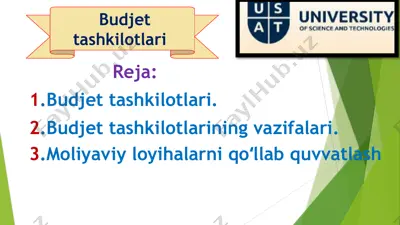 budjet tashkilotlari — PPTX