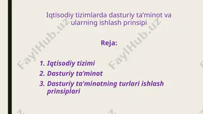 iqtisodiy tizimlarda dasturiy ta’minot va ularning ishlash prinsipi — PPTX