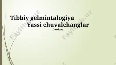 yassı chuvalchanglar — PPTX