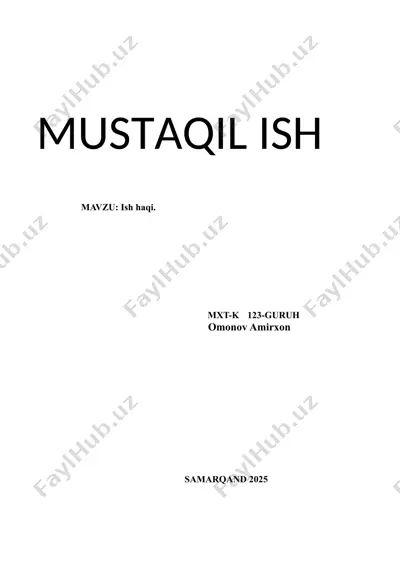 mustaqil ish — DOCX