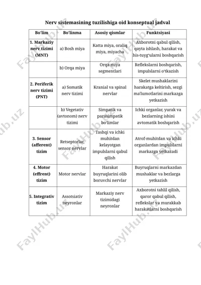 nerv sistemasining tuzilishiga oid konseptual jadval — DOCX