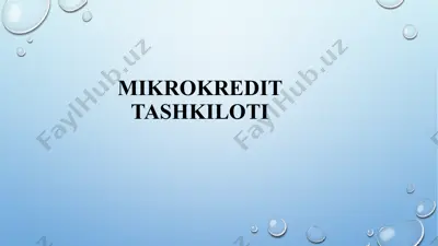 mikrokredit tashkiloti — PPTX
