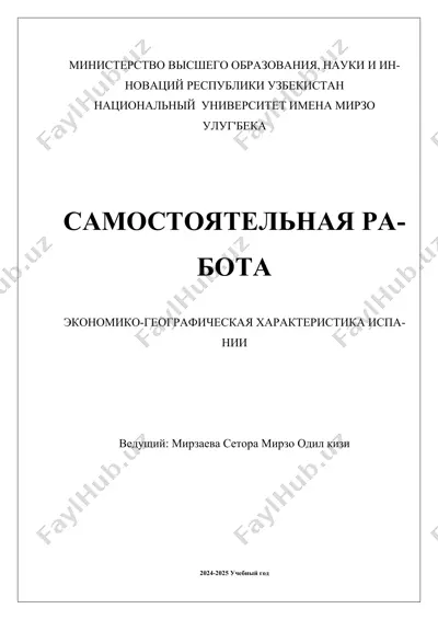 ekonomiko-geograficheskaya xarakteristika ispanii — DOCX