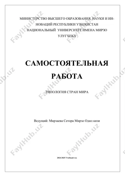 tipologiya stran mira — DOCX