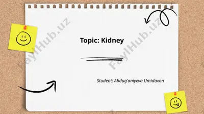kidney — PPTX