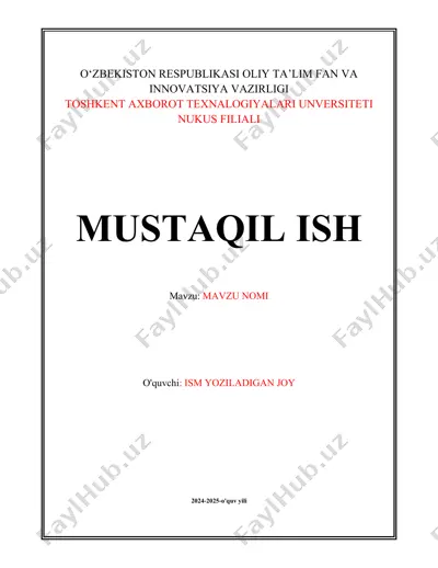 mustaqil ish — DOCX