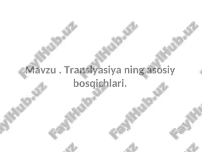 translyatsiya bosqichlari — PPT
