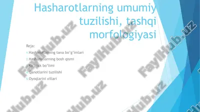 hasharotlar — PPT