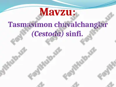 tasmasimon chuvalchanglar (cestoda) sinfi — PPTX