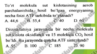 energiyaning atp tarkibida hosil bo'lgan foiz miqdori haqida savollar — PPT