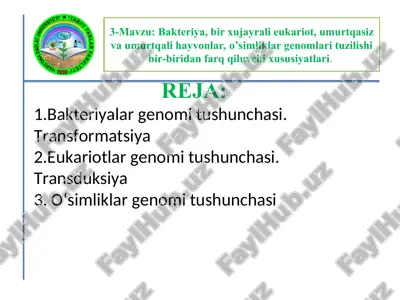 genomika tushunchasi — PPT
