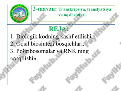oqsil biosintezi va poliribosomalar — PPT