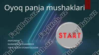 anatomiyadan oyoq panja mushaklari mavzusiga pptx — PPTX