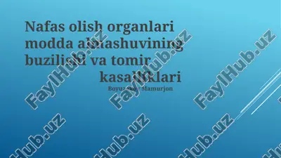 nafas olish organlari — PPTX