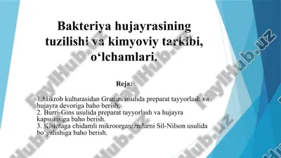bakteriya hujayralari — PPTX