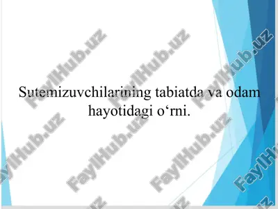 sutemizuvchilarning tabiatda va odam hayotidagi o‘rni — PPTX