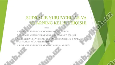 sudralib yuruvchilar va ularning kelib chiqishi — PPTX