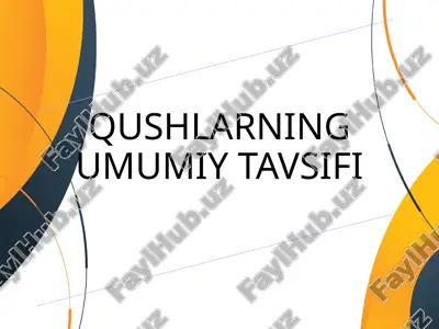 qushlar — PPTX
