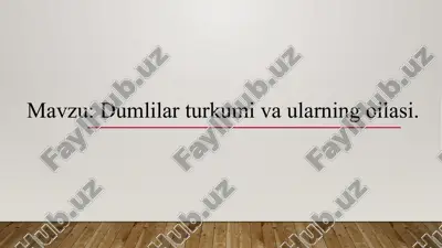 dumlilar turkumi va ularning oilasi — PPTX