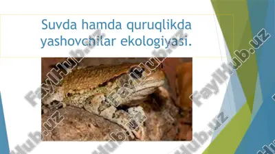 salamandralar va tritonlar ekologiyasi — PPTX