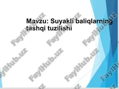 suyakli baliqlarning tashqi tuzilishi — PPTX