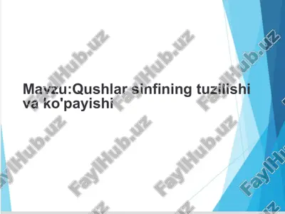 qushlar sinfining tuzilishi va ko'payishi — PPTX