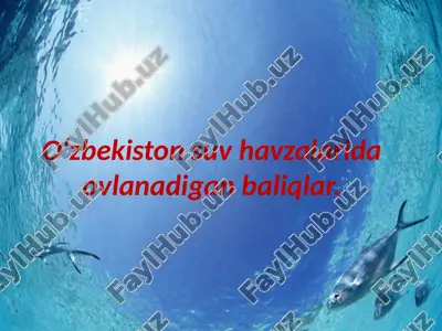o‘zbekiston suv havzalarida ovlanadigan baliqlar — PPTX