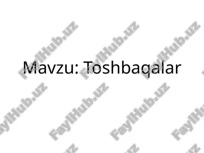 toshbaqalar — PPTX