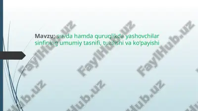 suvdahamdaquruqlikdayashovchilarning umumiy tasnifi — PPTX