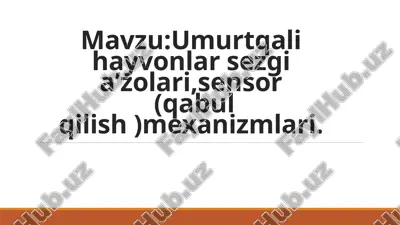 baliqlarning sezgi organlari — PPTX
