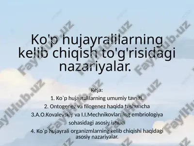 ko'p hujayralilarning kelib chiqish to'g'risidagi nazariyalar — PPTX
