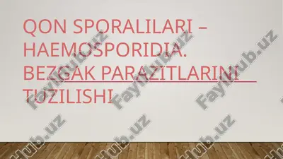 qon sporalilari - haemosporidia — PPTX