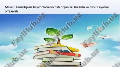 umurtqasiz hayvonlarni koʻrish organlari tuzilishi va evolutsiyasi — PPTX