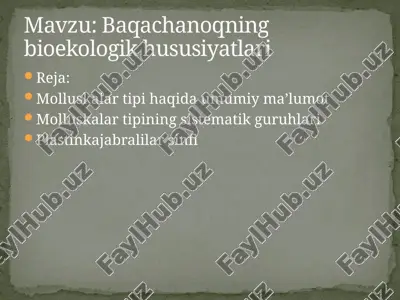 molluskalar tipi haqida umumiy maʼlumot — PPTX