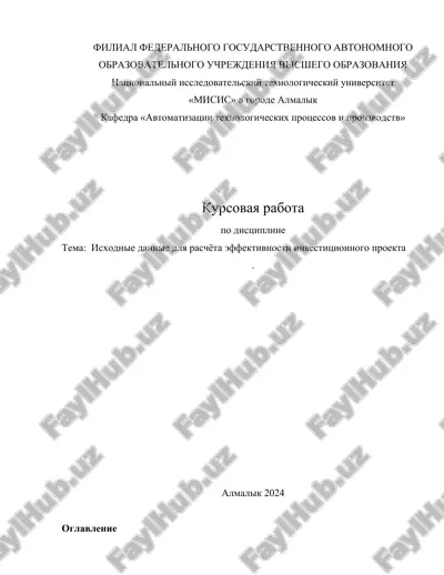 texnicheskiy proekt "isxodnie dannie dlya raschyota effektivnosti investitsionnogo proekta" — DOCX
