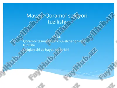 qoramolsolityorituzilishi — PPTX