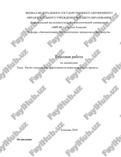 kurs ishi - raschyot pokazateley effektivnosti investitsionnogo proekta — DOCX