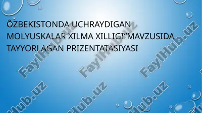 qorinoyoqli mollyuskalar xilma-xilligi — PPTX
