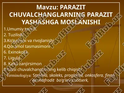 tasmasimon chuvalchanglar — PPTX