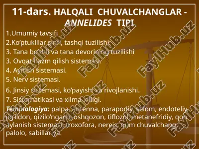 halqali chuvalchanglar - annelides tipi — PPTX