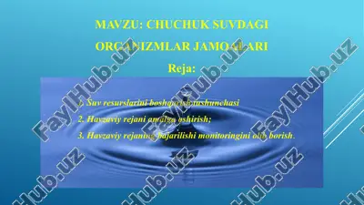 chuchuk suvdagi organizmlar jamoalari — PPTX