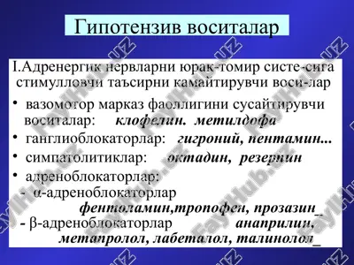 gipotenziv vositalar — PPT