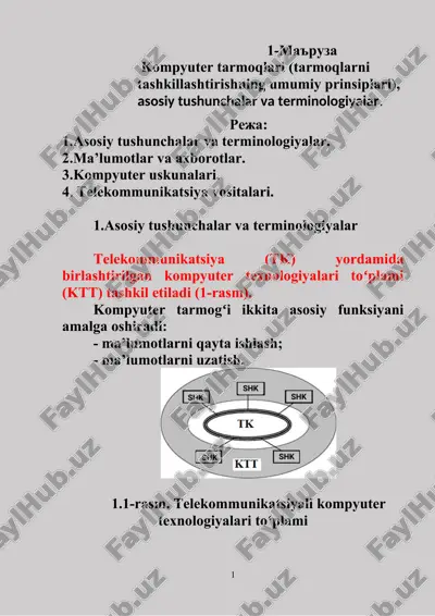 kompyuter tarmoqlari (tarmoqlarni tashkillashtirishning umumiy prinsiplari) — DOC