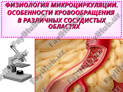 fiziologiya mikrotsirkulyatsii — PPT