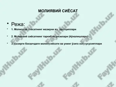 moliyaviy siyosat — PPTX